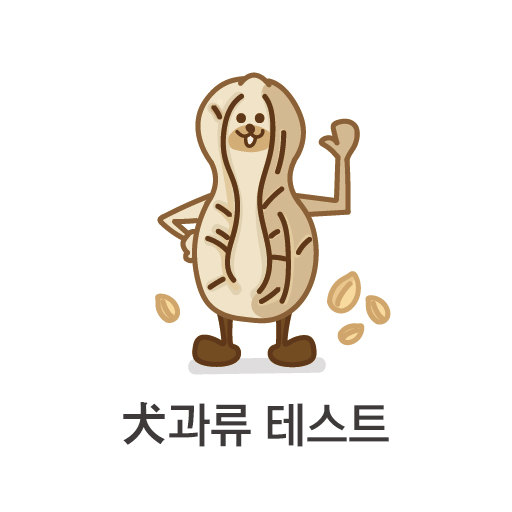 犬과류 테스트